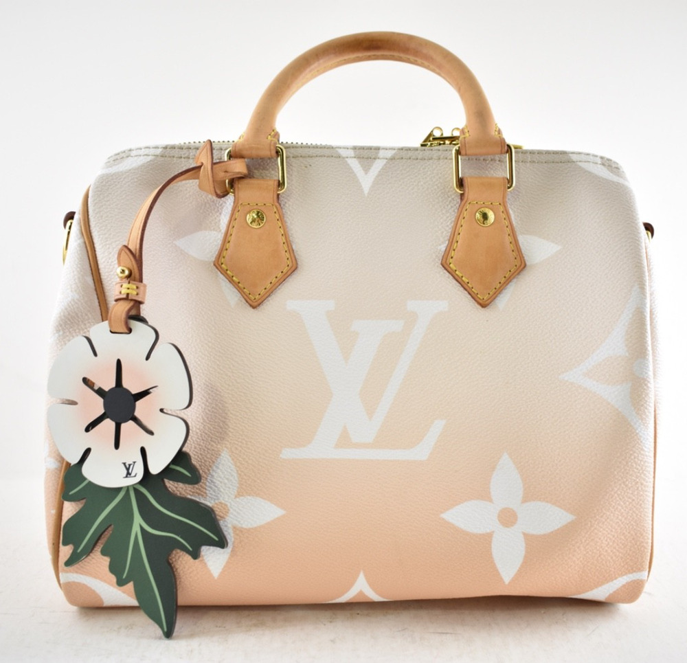 Louis Vuitton Speedy 25 Bandouliere Mist By The Pool Summer Monogram Handle Bag